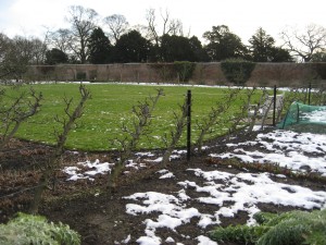 Sloping trees