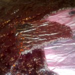 Blackberry and apple fruit leather