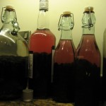 Sloe Gin. Fresh and after 1 day infusing